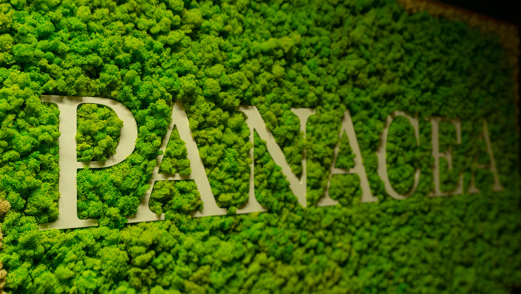 Panacea Wellness Logo embedded on wall of plants