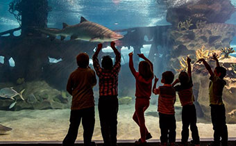 family at aquarium